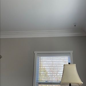 Meet your Posher, Adam